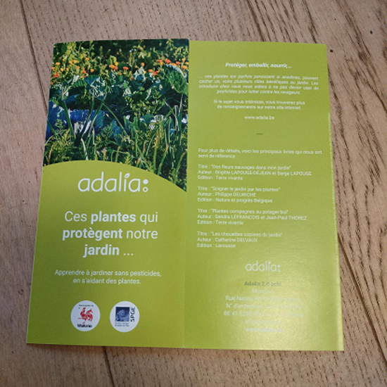 Image de Dépliant "Ces plantes qui protègent notre jardin" par Adalia